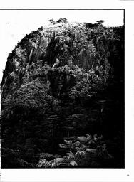 s1980-14-0019
