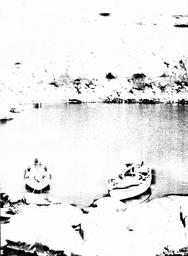 s1980-19-0019