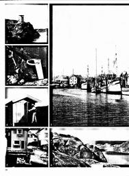 s1980-19-0020
