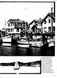 s1980-19-0021