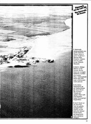 s1980-21-0029