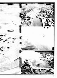s1980-21-0031