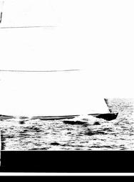 s1980-21-0275
