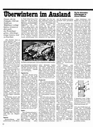 Schraubenbefestigungen in dünnen Wänden