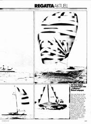 s1980-22-0115