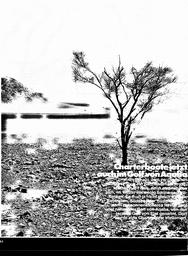 s1980-23-0018
