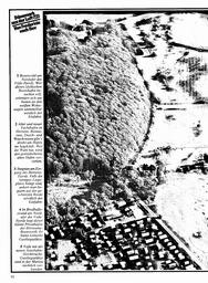s1980-23-0092