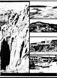 s1980-24-0025