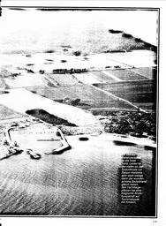 s1980-24-0119