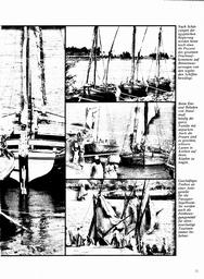 s1981-01-0021