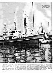 s1981-01-0035