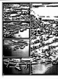 s1981-01-0108