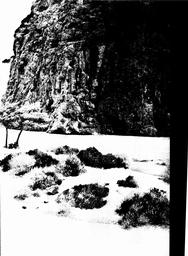 s1981-02-0031