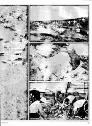 s1981-02-0043