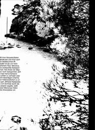 s1981-02-0051