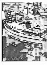 s1981-02-0110