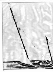 s1981-02-0220