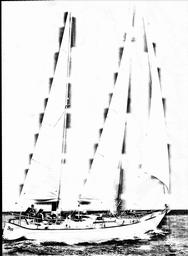 s1981-02-0238