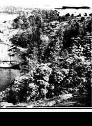 s1981-03-0019