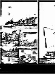 s1981-03-0020