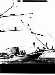 s1981-03-0021