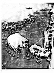 s1981-03-0032