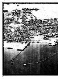 s1981-03-0098