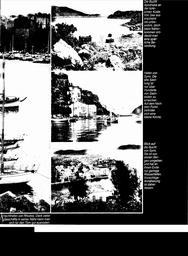 s1981-06-0027