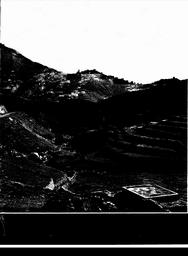 s1981-06-0029