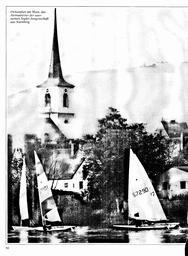 s1981-06-0050