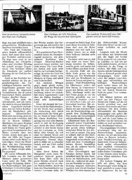 s1981-06-0051
