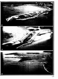 s1981-06-0147