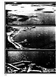 s1981-06-0148