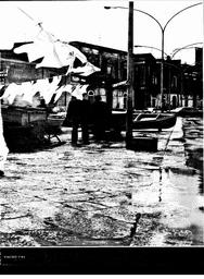 s1981-07-0179