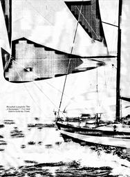 s1981-08-0038