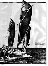 s1981-08-0045