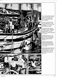 s1981-08-0047