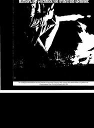 s1981-08-0049