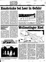 s1981-08-0131