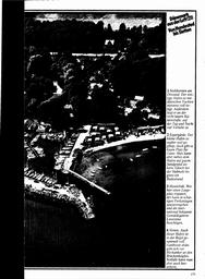 s1981-08-0175