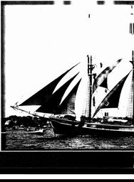 s1981-10-0020