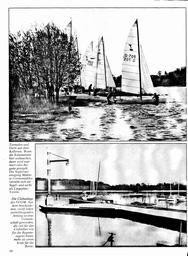 s1981-10-0058