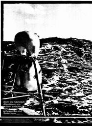 s1981-11-0020