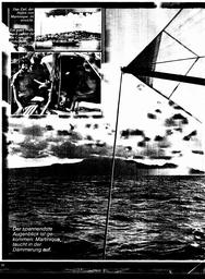 s1981-11-0022