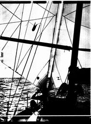 s1981-11-0023