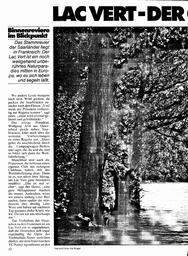Binnenreviere im Blickpunkt: Lac Vert (Saarland)