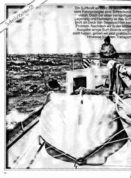 Surfen für Yachties (2)