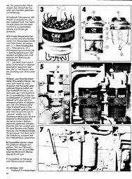 s1981-11-0096