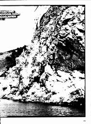 s1981-11-0101