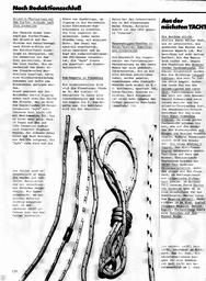s1981-11-0120